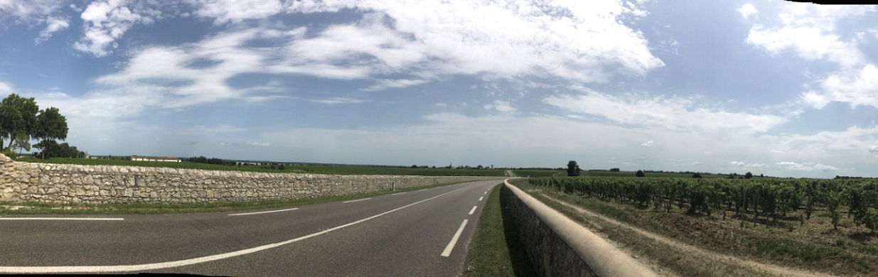 Panorama of the Medoc wine route home to 16,500 hectares of vineyards