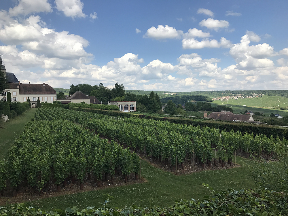 Inside the House of Dom Perignon