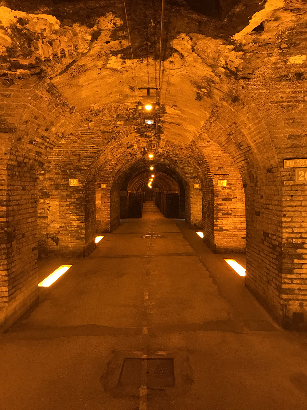 Underground cellars of Moet & Chandon