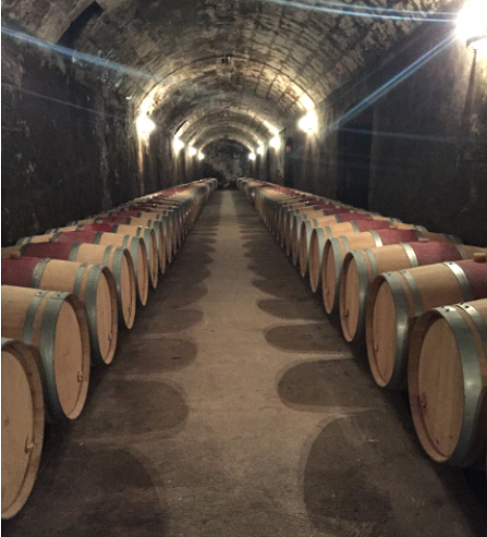 Wine cellar of Pontet Canet