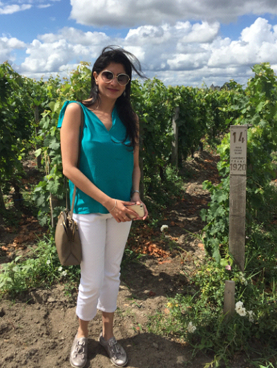 A row of 1920 vine still flourishing at Chateau Cheval Blanc