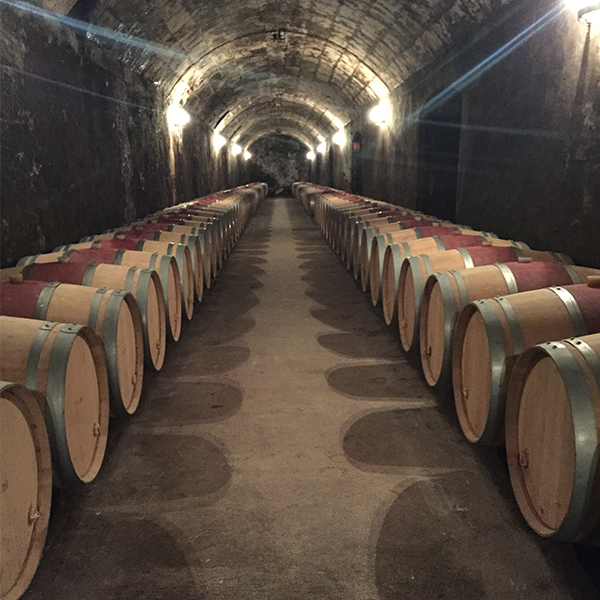 Wine barrel cellars at Chateau Pontet Canet