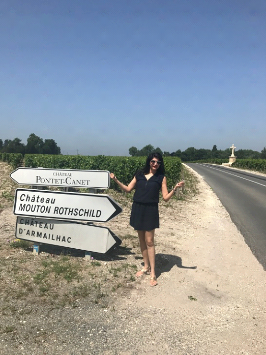 Famous Chateaux on the Medoc wine route