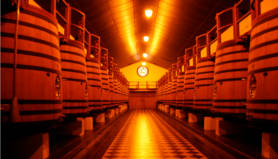 Wine ageing barrels at Pape Clement 